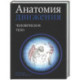 Анатомия движения: человеческое тело