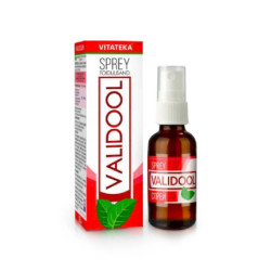 Валидол спрей, 20 мл