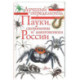 Пауки, скорпионы и многоножки России