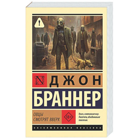 Овцы смотрят вверх