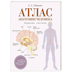 Атлас анатомии человека. Нервная система