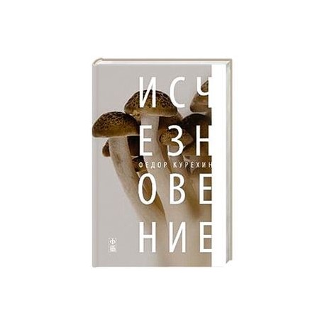 Исчезновение