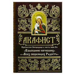 Акафист Пресвятей Богородице в честь иконы Ея 'Взыскание погибших' и 'Всех скорбящих Радость'
