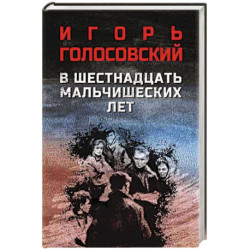 В шестнадцать мальчишеских лет