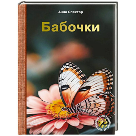Бабочки