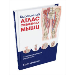 Карманный атлас скелетных мышц: Иллюстр.справочник