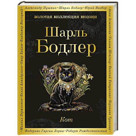 Кот