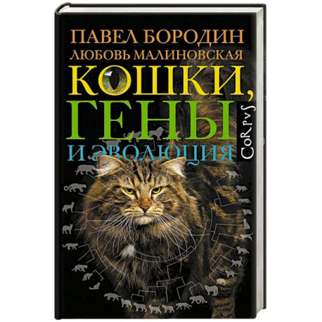 Кошки, гены и эволюция