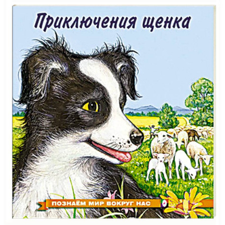 Приключения щенка