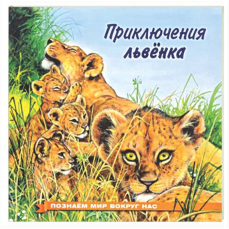 Приключения львенка