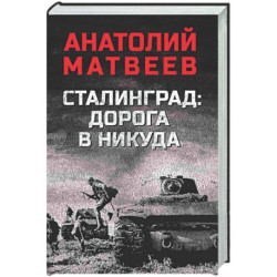 Сталинград: дорога в никуда