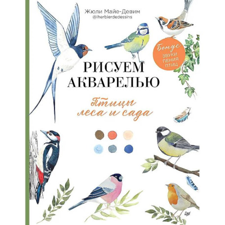 Рисуем акварелью: птицы леса и сада