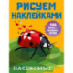 Насекомые