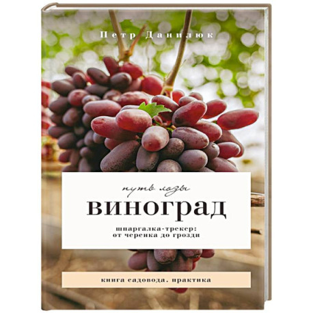 Виноград. Путь лозы. Шпаргалка-трекер: от черенка до грозди