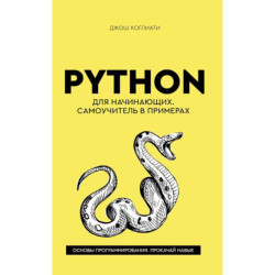 Python для начинающих. Самоучитель в примерах