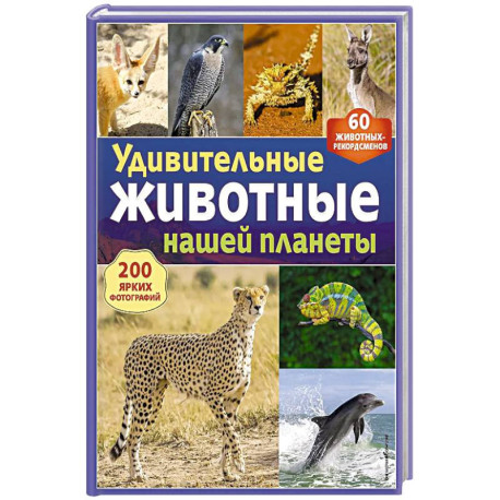Удивительные животные нашей планеты