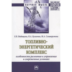 Топливно-энергетический комплекс:особенности развития и управления в современных условиях: Монография