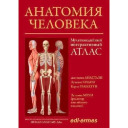 Анатомия человека:атлас