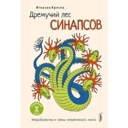 Дремучий лес синапсов. Нейробиология и тайны челов