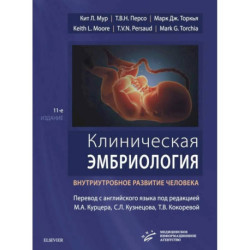Клиническая эмбриология. Внутриутробное развитие человека.