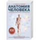 Анатомия человека. Опорно-двигательный аппарат, внутренние органы