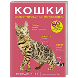 Кошки. 60 самых популярных пород. Иллюстрированный определитель