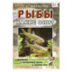 Рыбы. Какие они? [Методика]