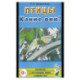 Птицы. Какие они?