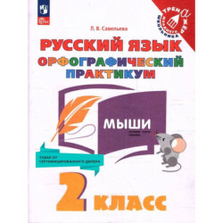 Русский язык 2 класс. Орфографический практикум