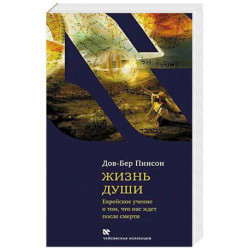 Жизнь души. Еврейское учение о том, что нас ждет после смерти