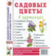 Садовые цветы в картинках