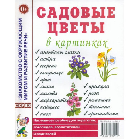 Садовые цветы в картинках