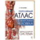Популярный атлас анатомии человека. Сердечно-сосудистая система