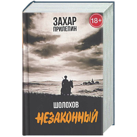 Шолохов. Незаконный