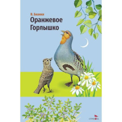 Оранжевое горлышко