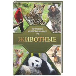 Животные. Популярный иллюстрированный гид