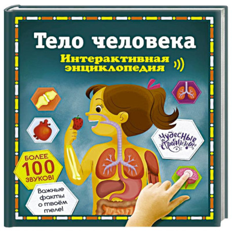 Тело человека. Интерактивная энциклопедия