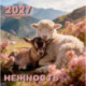 Календарь 2027 настенный перекидной. Нежность