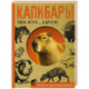 Капибары, паки, агути и другие