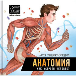 Анатомия. Как устроен человек? книжка-панорамка
