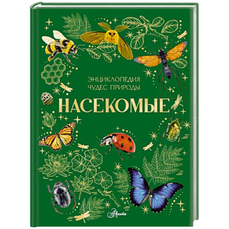 Насекомые