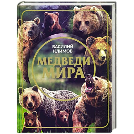 Медведи мира