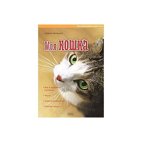 Моя кошка