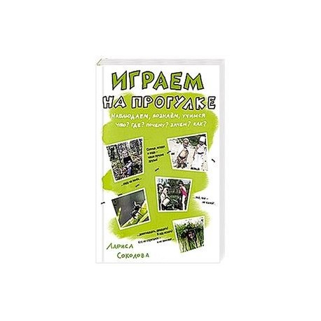 Играем на прогулке