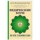Ведические боги и их символы