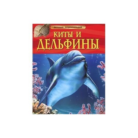 Киты и дельфины