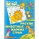 Рисуем животных жарких стран