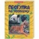 Прогулки по зоопарку