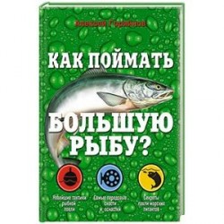 Как поймать большую рыбу?