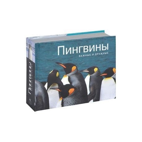 Пингвины. Важные и дружные